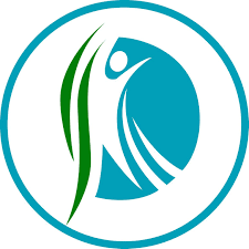 Aliado